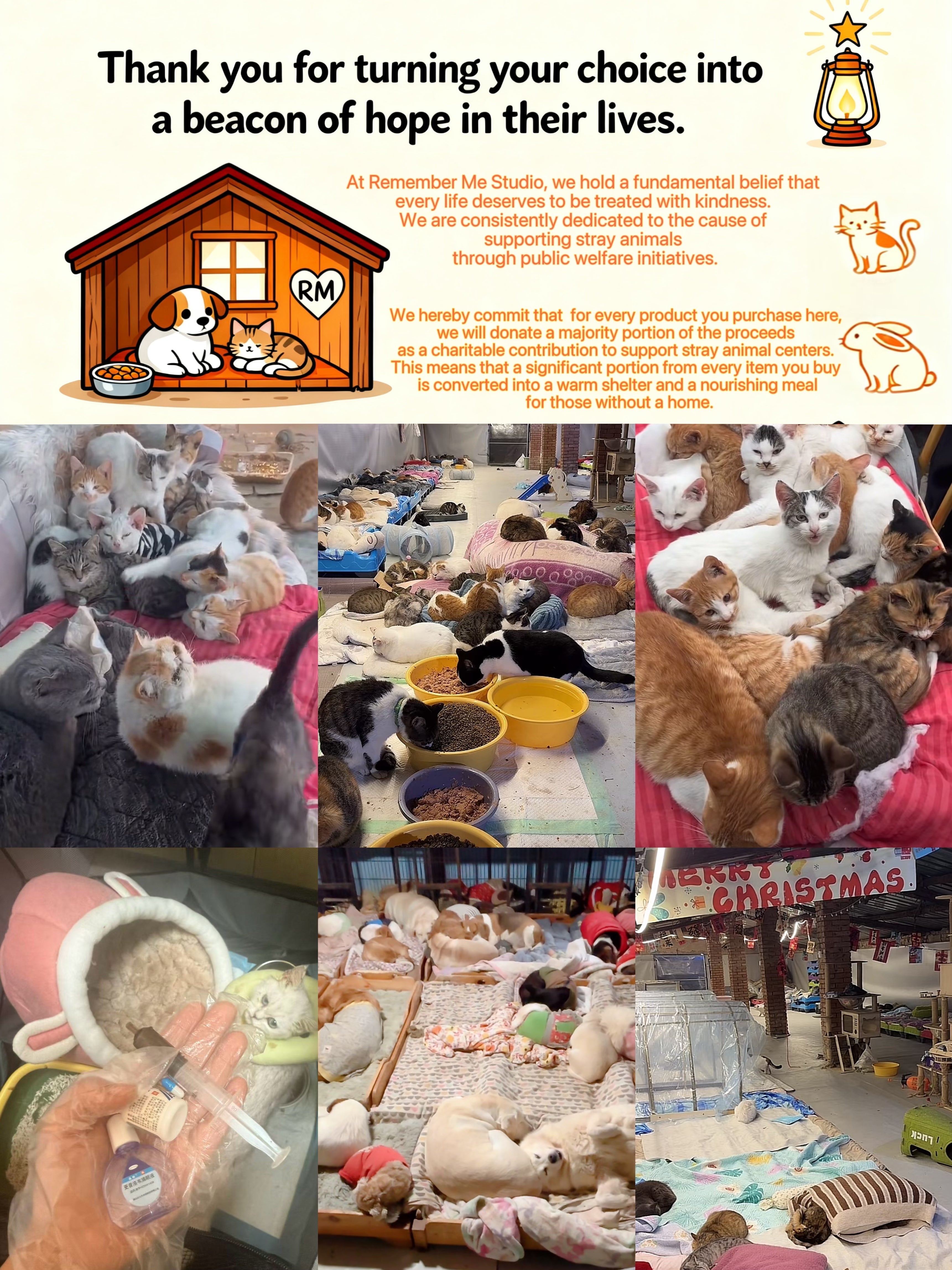 About Us | We Polish Longing Into Light