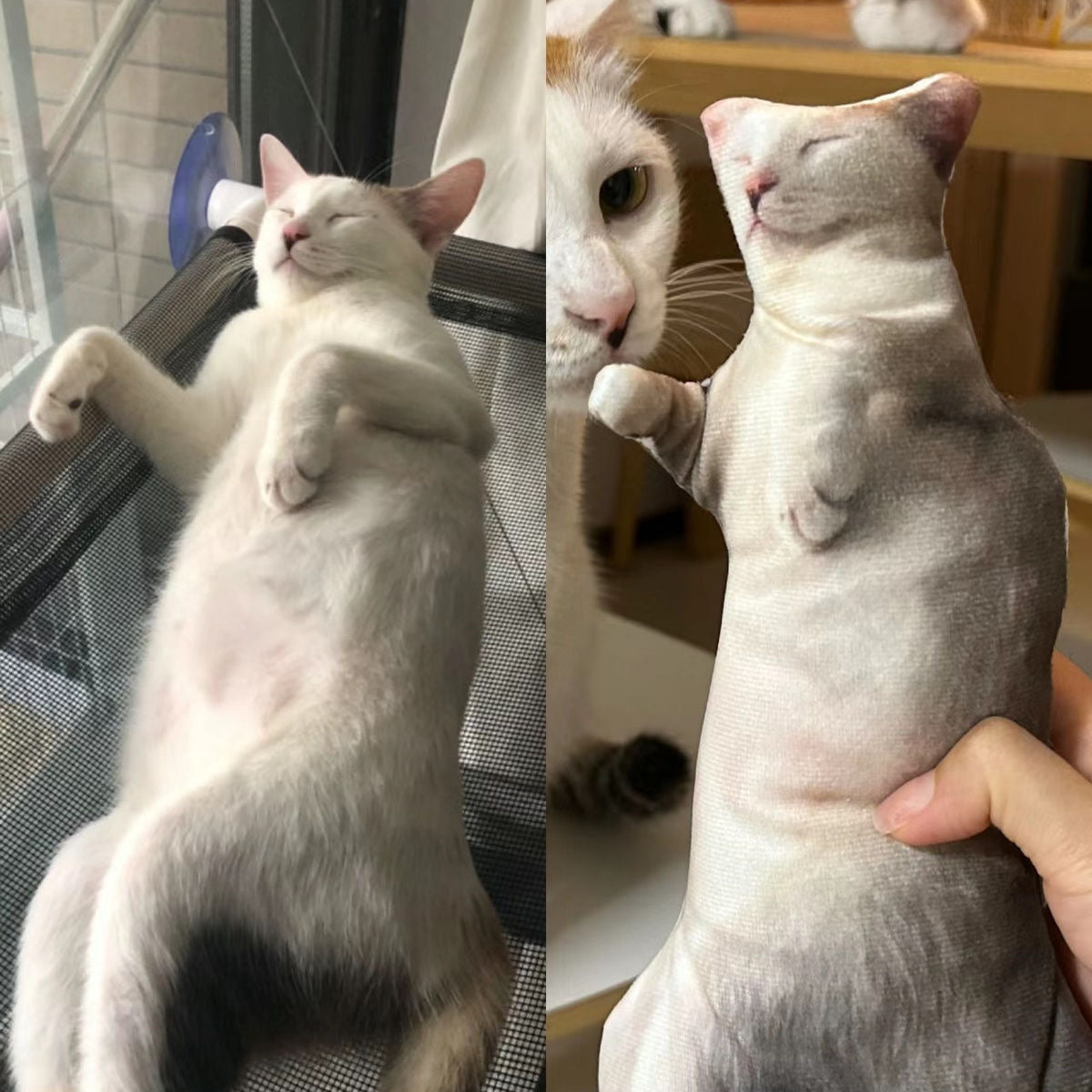 Photo Custom Hilariously Ugly Pet-Shaped Pillow