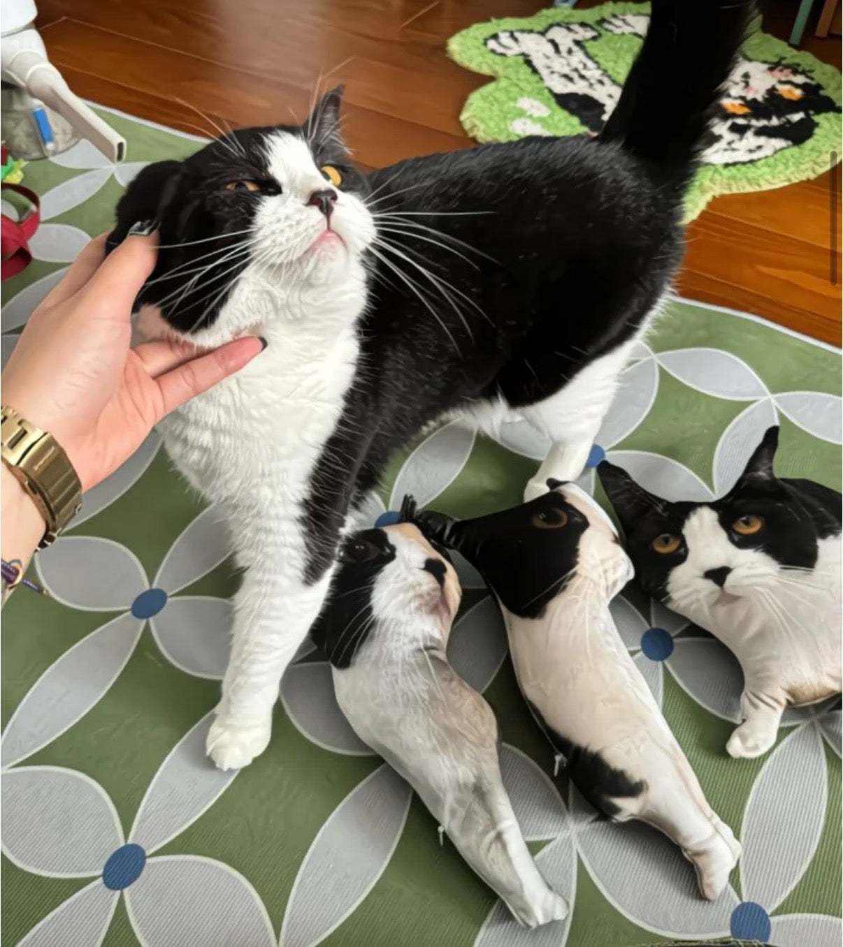 Photo Custom Hilariously Ugly Pet-Shaped Pillow